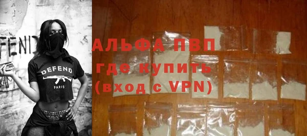 СК Алексин